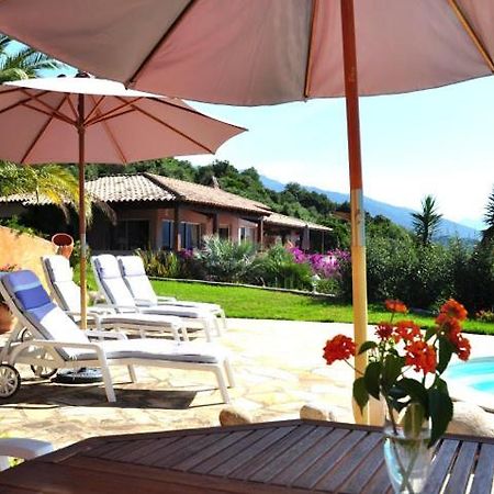 Villa Vetricella Corse Sud Olmeto  Exteriér fotografie