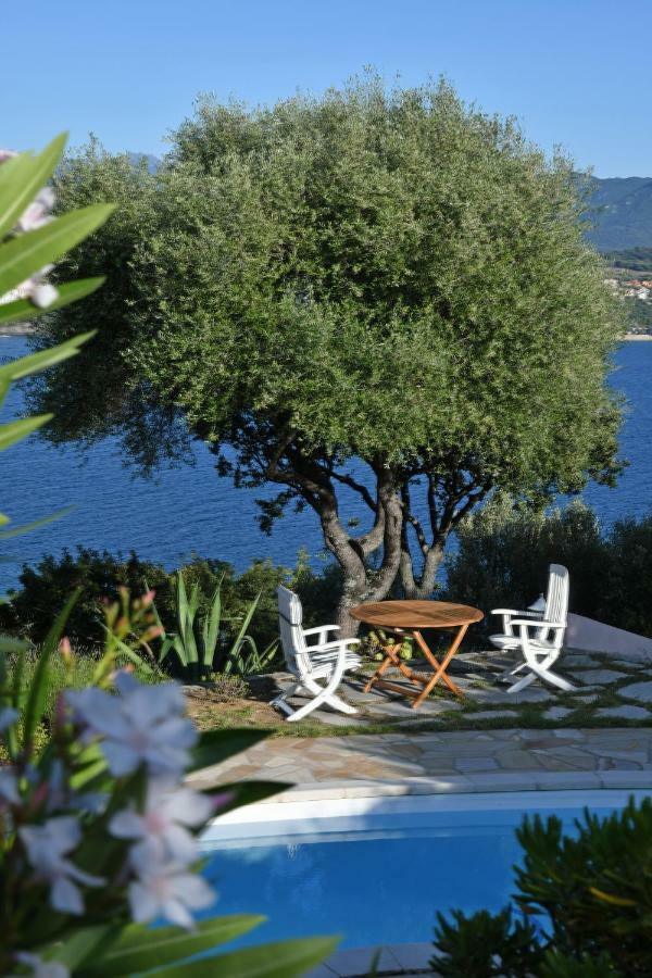 Villa Vetricella Corse Sud Olmeto  Exteriér fotografie
