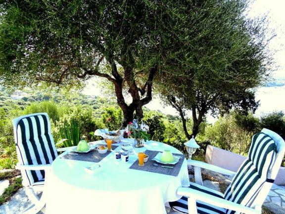 Villa Vetricella Corse Sud Olmeto  Exteriér fotografie